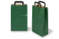 Papperspåsar med platta handtag - gröna, 220 x 105 x 360 mm | PIT Packaging.se | Kuvertland