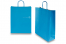 Papperspåsar med snurrade handtag - blå, 320 x 120 x 410 mm, 100 gr | PIT Packaging.se | Kuvertland